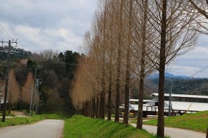 IMG_1207
