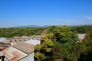 IMG_1339